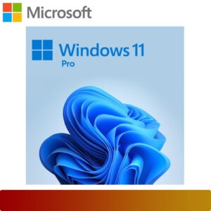 Window 11 Pro